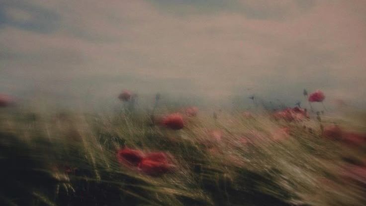 هیچ‌ کس مثل من، تو را نمی‌فهمد. هیچ‌ کس این تلخیِ بی‌ نام را درک نمی‌کند.