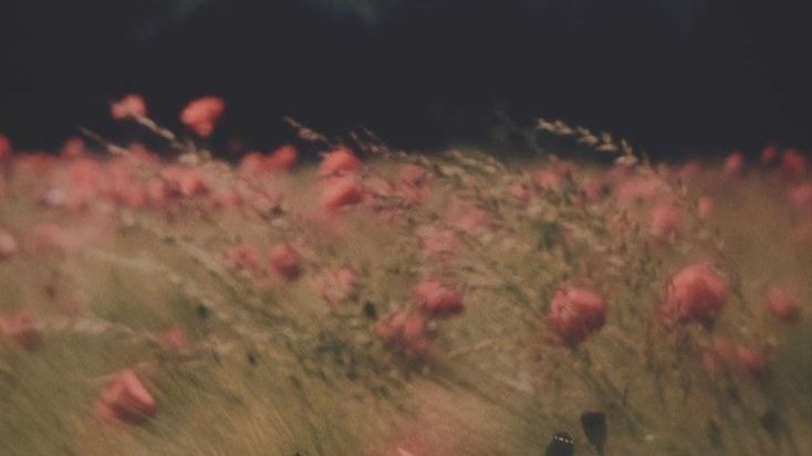 مُحبی برای دور اُفتادهٔ من...