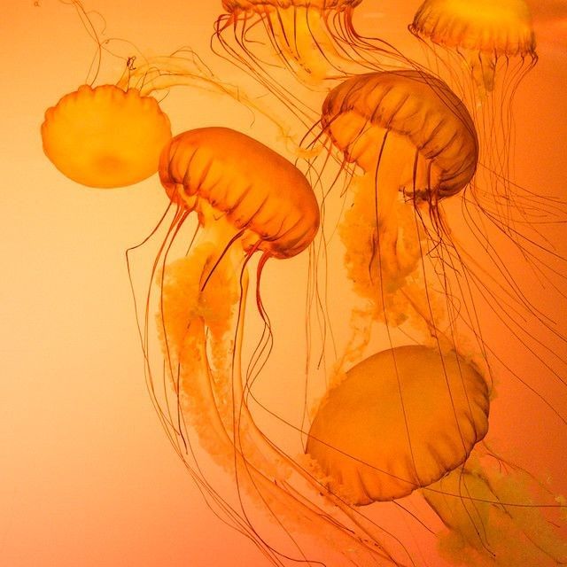 این رنگ را بپوش؛ همه فکر میکنند شجاعی، اما فقط تو میدانی چقدر تنهاست