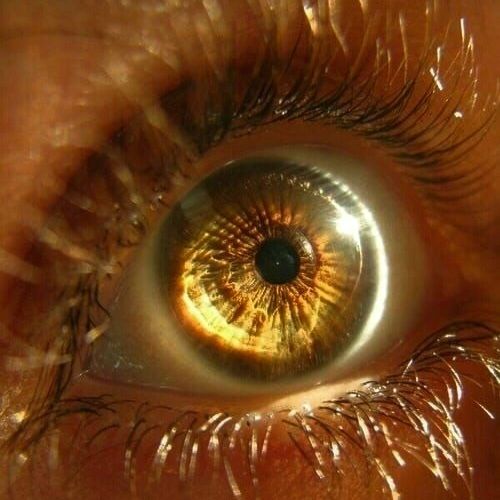 چشمها دروغ نمیگویند؛ حتی وقتی نارنجیِ غروب را میبینند و ادعا میکنند گرد و خاک است