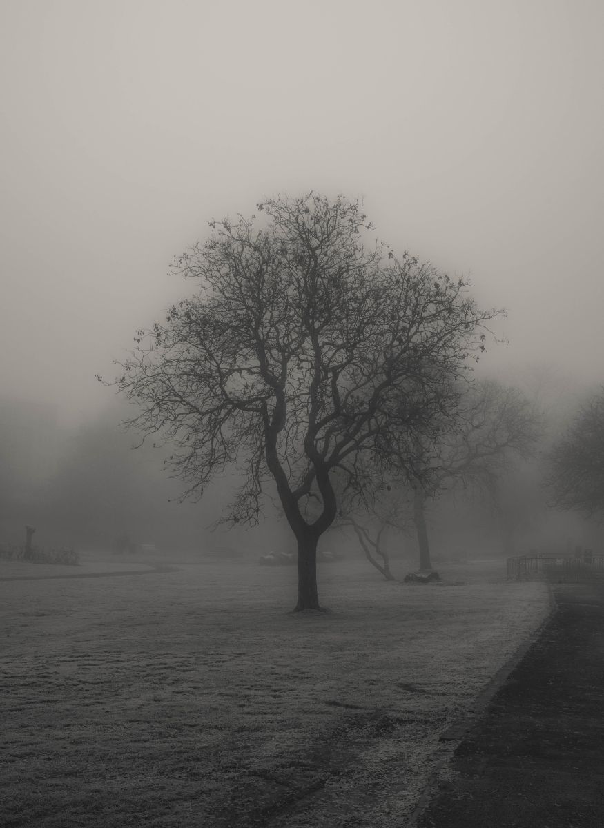 «فردا، شاید!»-