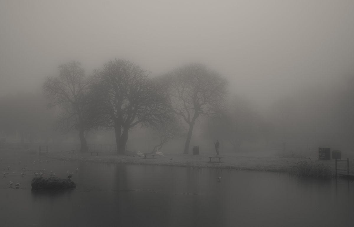 «هیچوقت نفهمیدم تشنه بودم یا فقط میخواستم چیزی را در دست بگیرم.»-