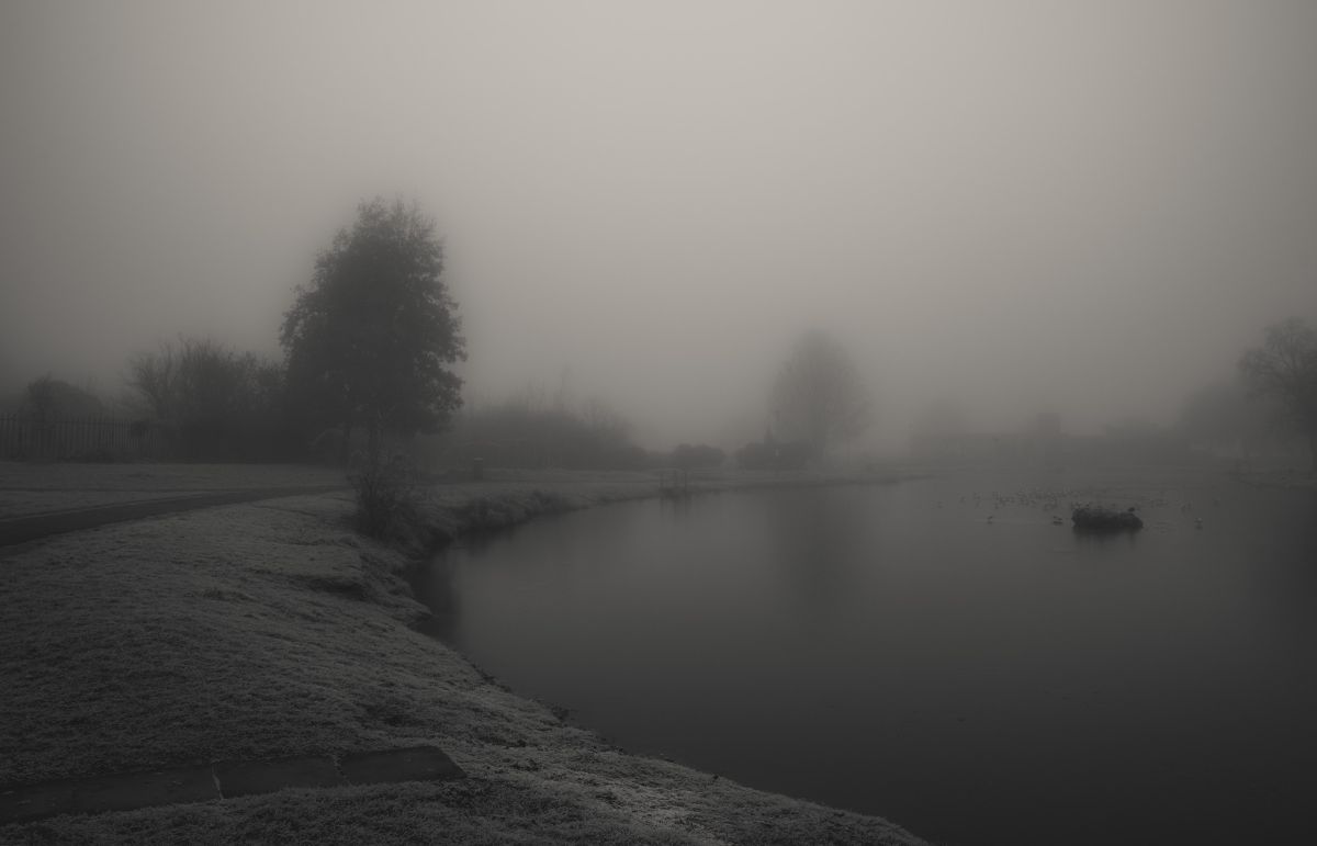 «تنها چیزی که یادم ماند، این بود که فراموش کردن، آسان ترین راه بود.»-