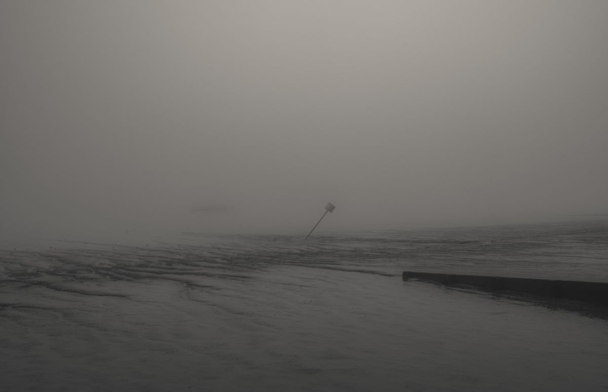 «بعضی آدم ها فقط نفس میکشند تا ثابت کنند هنوز فراموش نکرده اند.»-