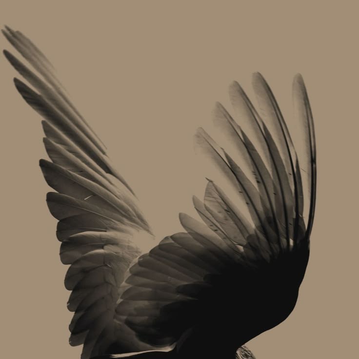 مرگش زندگی بود؛ فقط نه برای آنکه چشم انتظارش بود.