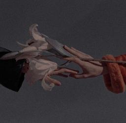 بین شاید و هرگز...