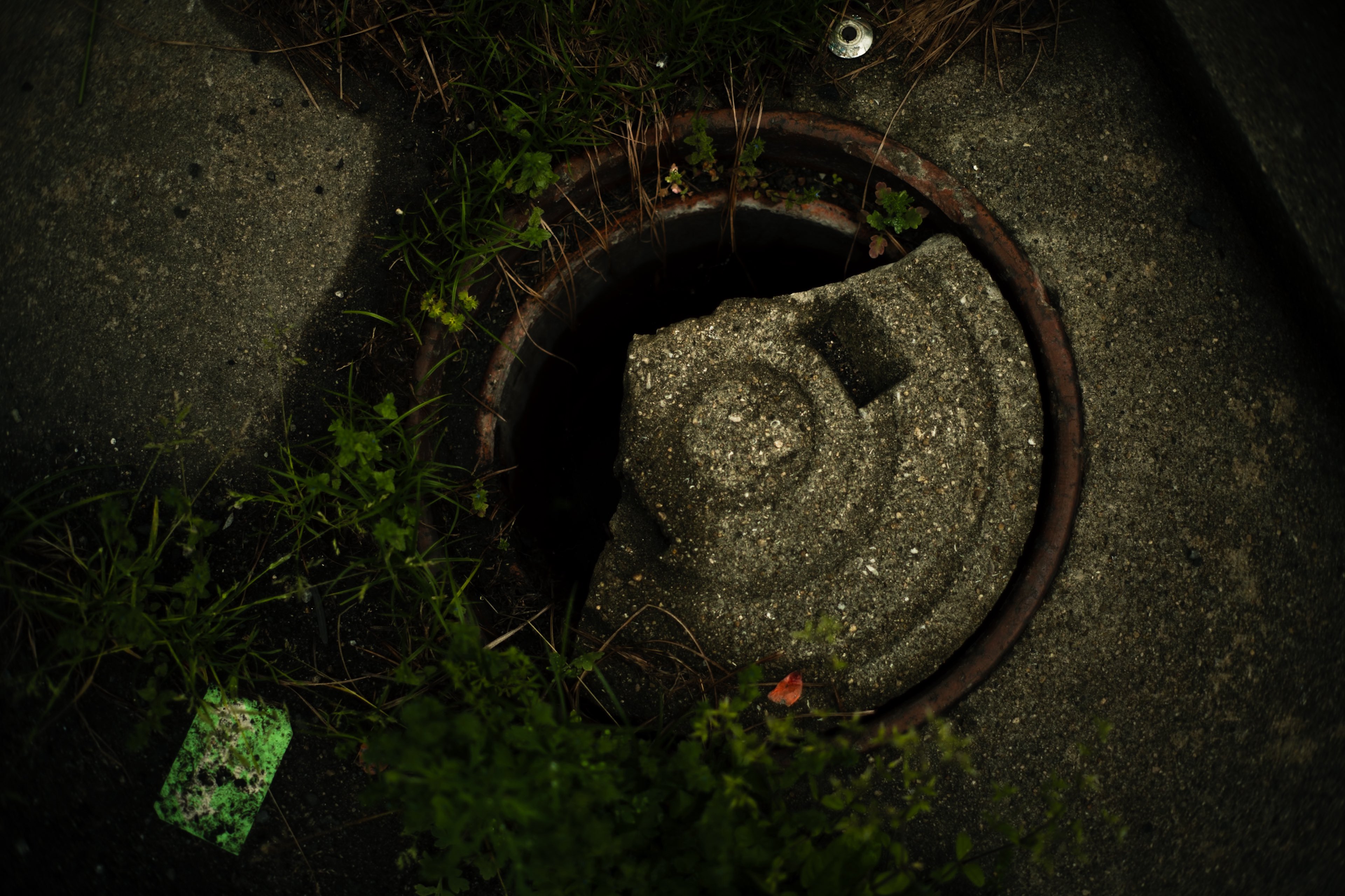 این کلاس و این تقلای فکری، خودش ممکن است روزی تبدیل به حسرتی زیبا شود حسرتِ زمانی که هنوز سوال‌ها از جواب‌ ها بزرگ‌تر بودند.