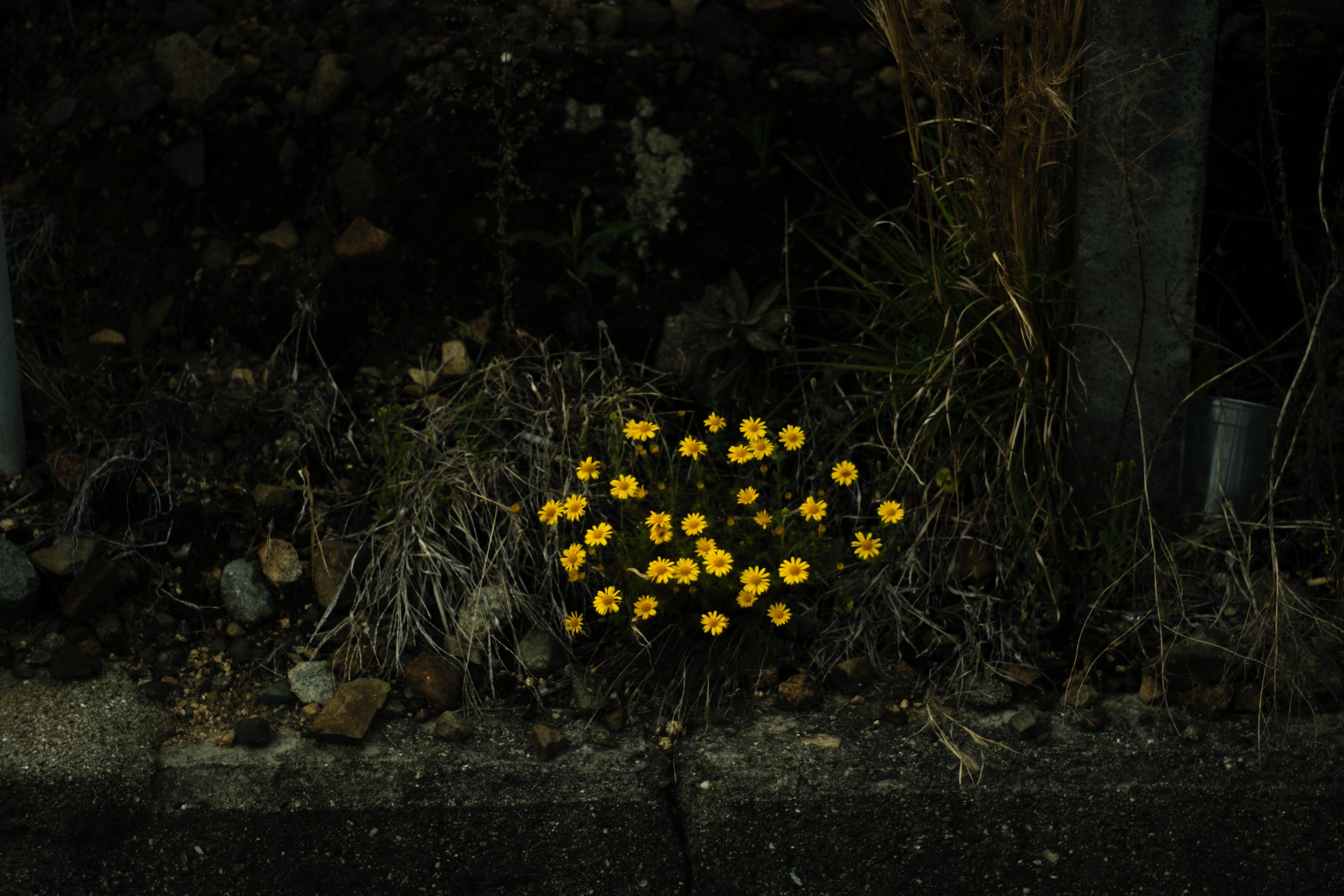 حسرت تو از آن چیزهایی است که انجام دادی، یا از آن سکوت‌هایی است که در دلِ کلماتِ ناگفته مانده؟