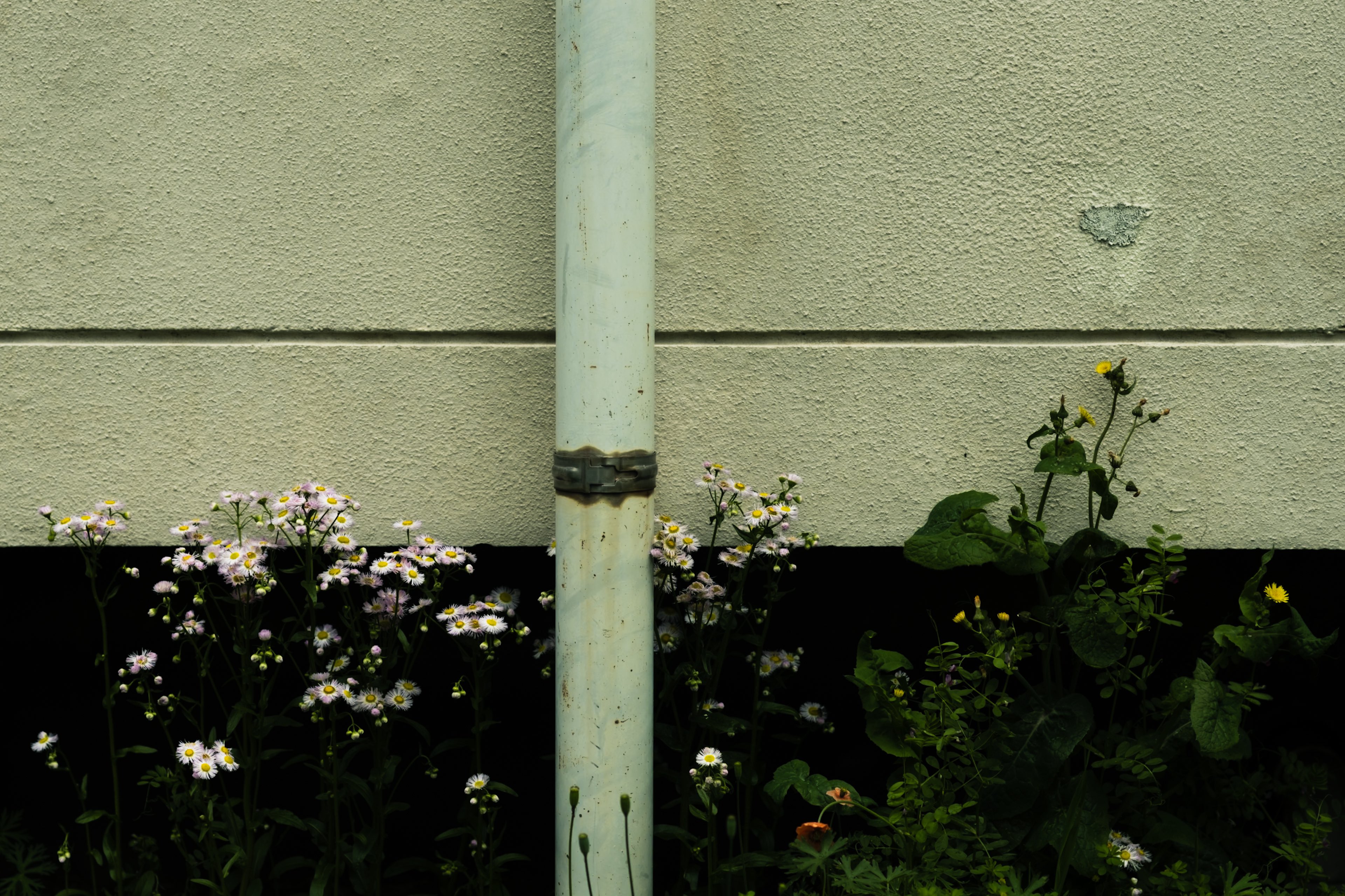 شاید اصلِ حسرت، همان «حسرتِ فهمیدنِ حسرت» باشد؛ مثل افکار تو که روی کاغذ پیچ می‌خورند ولی هرگز کاملاً آشکار نمی‌شوند.