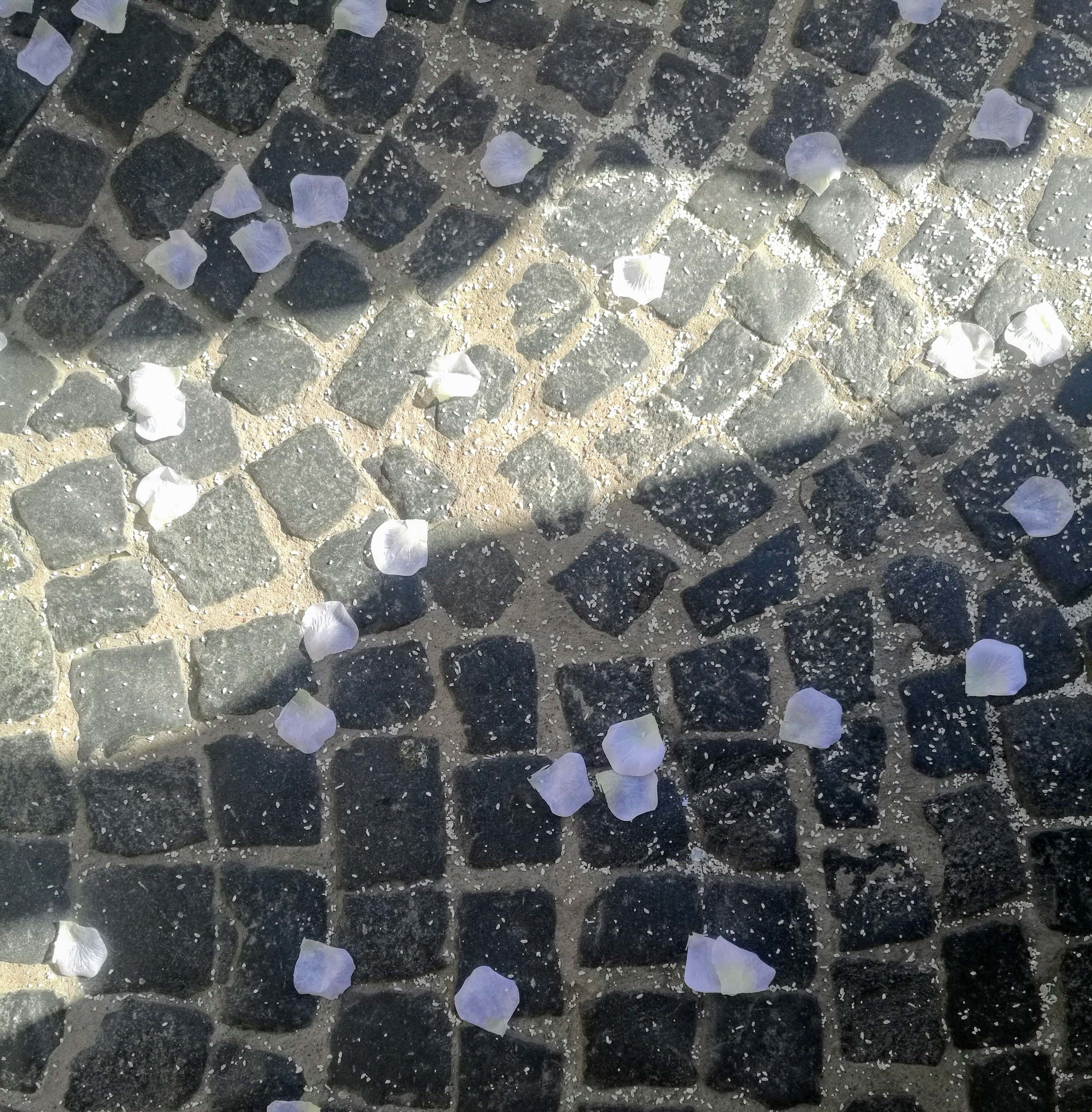 برنج و گلبرگ ریزون