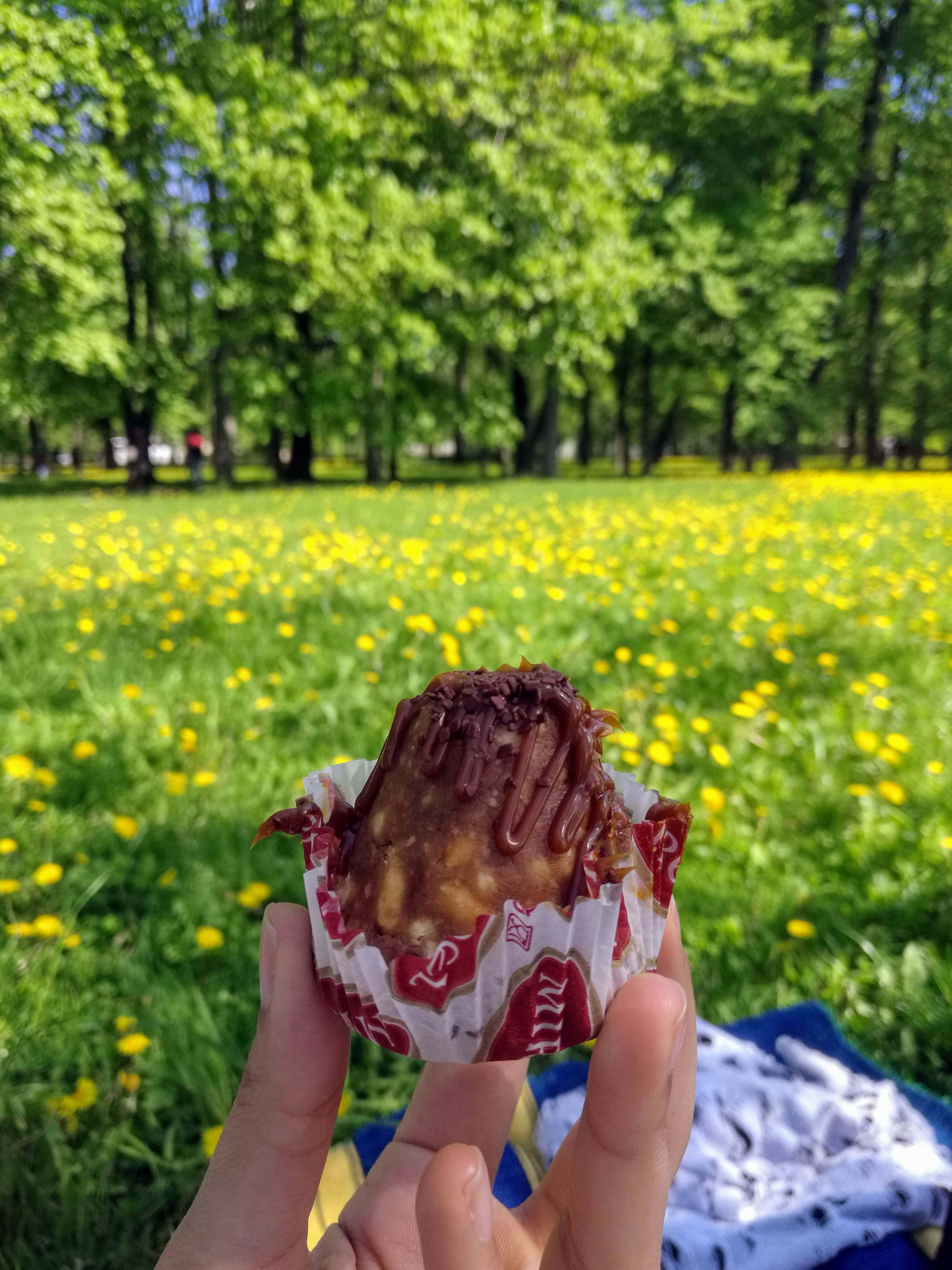 پیک نیک به سبک روسی