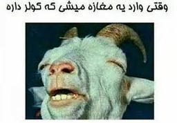 عکس های خنده دار جهت خنده?