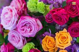 زندگی زیبا??