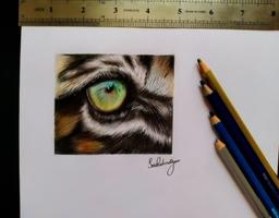 نقاشی چشم | نقاشی با سارا