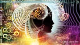 آیا کار کردن فلسفه می‌خواهد؟