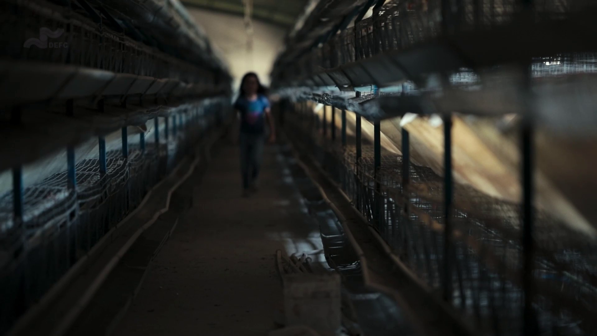 مستند برگزیده جشنواره "سینماحقیقت