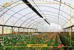 مقایسه بخاری تابشی و کوره هوای گرم برای گلخانه؛ کدام انتخاب به‌صرفه‌تر است؟