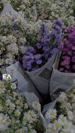 با چیزایی که داری،از زندگیت لذت ببر!