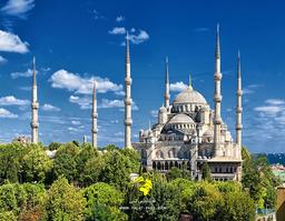 تور وان زمینی