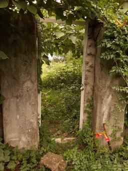 تکرار بهار...