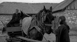 برگ آخر دستمال توالت