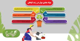 مواد مغذی موثر در رشد گیاهان - این خوراک گیاهانتان را بشناسید