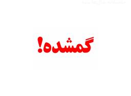 اونی که میخواستی تو غبارها گم شد...