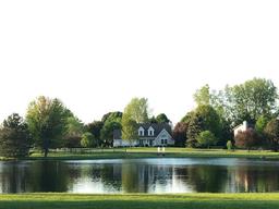 با موبایلم در تنهایی آدم تر شدم