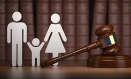 تحلیل تخصصی معیارهای انتخاب وکیل خانواده حرفه ای در تهران