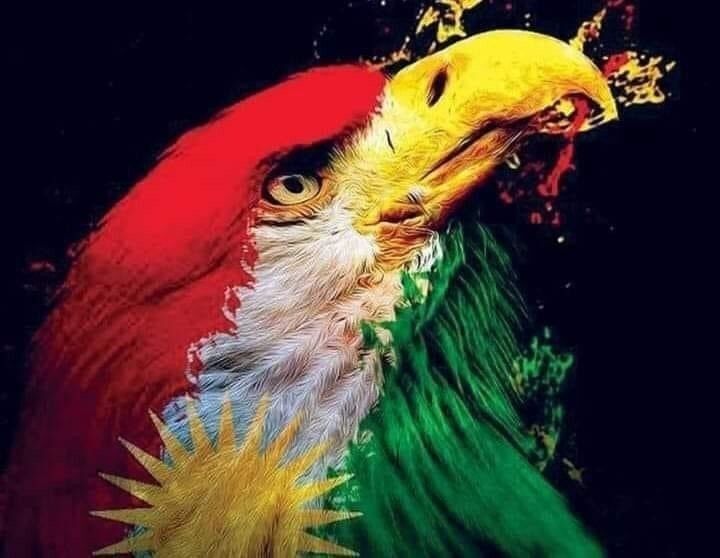 کردستانپرچم کردستان نماد هویت، تاریخ و مبارزه مردم کُرد است. این پرچم از سه رنگ افقی سرخ، سفید و سبز تشکیل شده که در مرکز آن خورشید زرد با ۲۱ پرتو قرار دارد. رنگ سرخ نشانه فداکاری و مقاومت، سفید نماد صلح و آزادی و سبز بیانگر طبیعت و زندگی است. خورشید ۲۱پرتو از کهن‌ترین نمادهای فرهنگ کُردی و نشانه روشنایی، امید و تداوم ملت کُرد به شمار می‌رود.