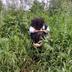 Mahy