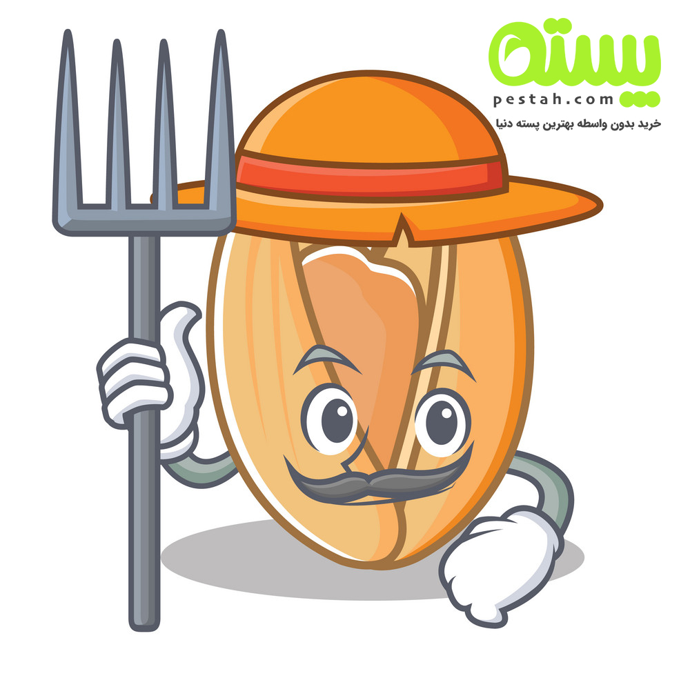 پسته دات کام
