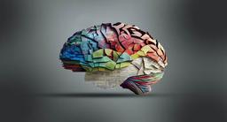 3 شاخه اصلی در علم روانشناسی