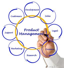 من هم می توانم یک مدیر محصول باشم؟