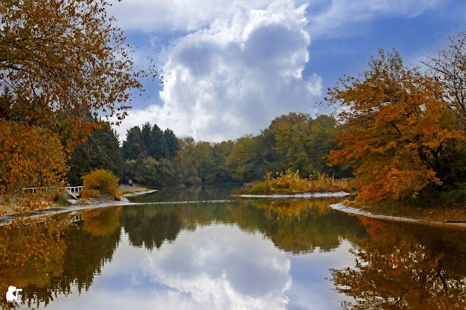 باغ گیاه شناسی ملی تهران
