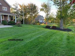 مقایسه زمین‌های ارزان و گران در شمال کشور