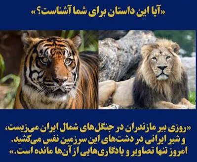 ...شیر و ببر منقرض شده ایران...