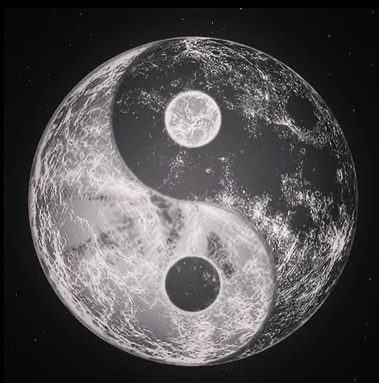 تکامل