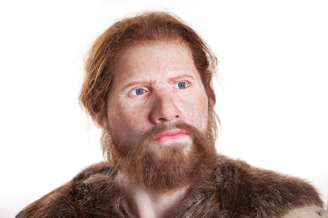 ریشه‌های ما در آفریقا؛ داستانی از مهاجرت و تنوع ژنتیکی