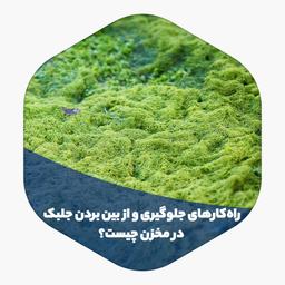 راه‌کارهای جلوگیری و از بین بردن جلبک در مخزن چیست؟
