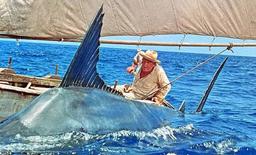 هنرِ شکوهمند شکست