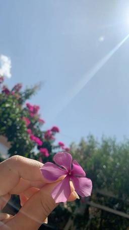 چرا از نور با خواری گریزانی؟