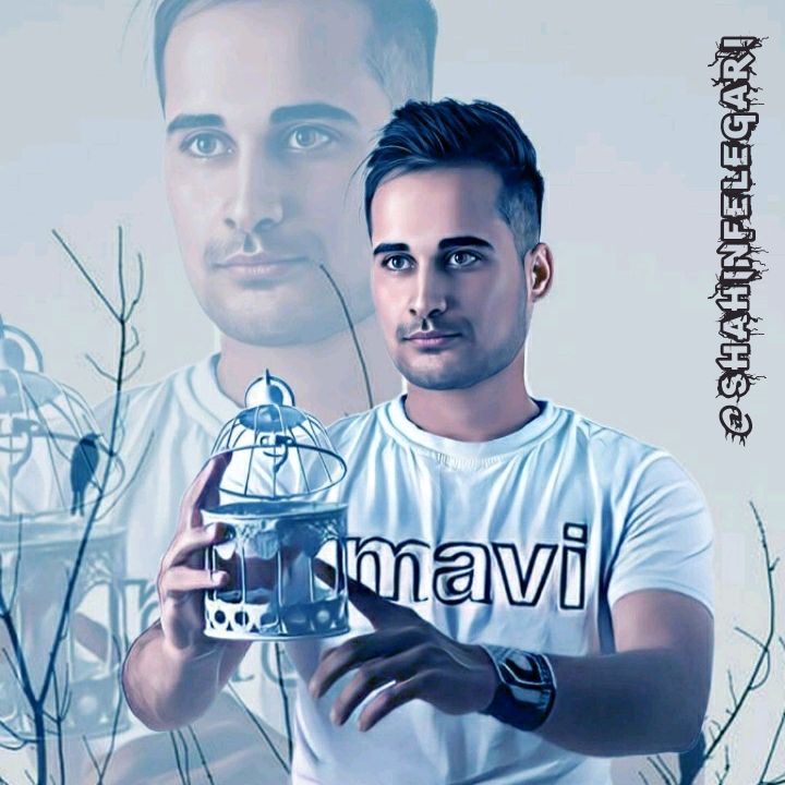 شاهین فعله گری یکی از هنرمندان سرشناس ایران میباشند که در زمینه موسیقی و آهنگ سازی مشعول به فعالیت میباشند، اولین موزیک شاهین فعله گری با نام خاطره در سن ۱۹ سالگی به پخش رسید و جزو ۳ موزیک برتر ماه ایران انتخاب شد، ایشان در کنکور سال ۱۳۹۵ رتبه ۱ کردستان و ۷ کشور را کسب کردند و همینک رشته تحصیلی ایشان معماری ساختمان میباشد، مراسم ازدواج فعله گری در تاریخ ۴/۳/۲۱ در تالار معراج قروه ( کردستان )  برگذار شد و کلیپ ایشان در گوگل قابل نمایش میباشد