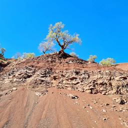 ما فقط فکر می‌‌کنیم اوضاع تحت کنترل هست!