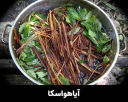معجون آیاهاواسکا