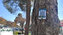 نصب پلاک های هوشمند بر روی درختان، گامی بزرگ در جهت حفظ و نگهداری فضای سبز