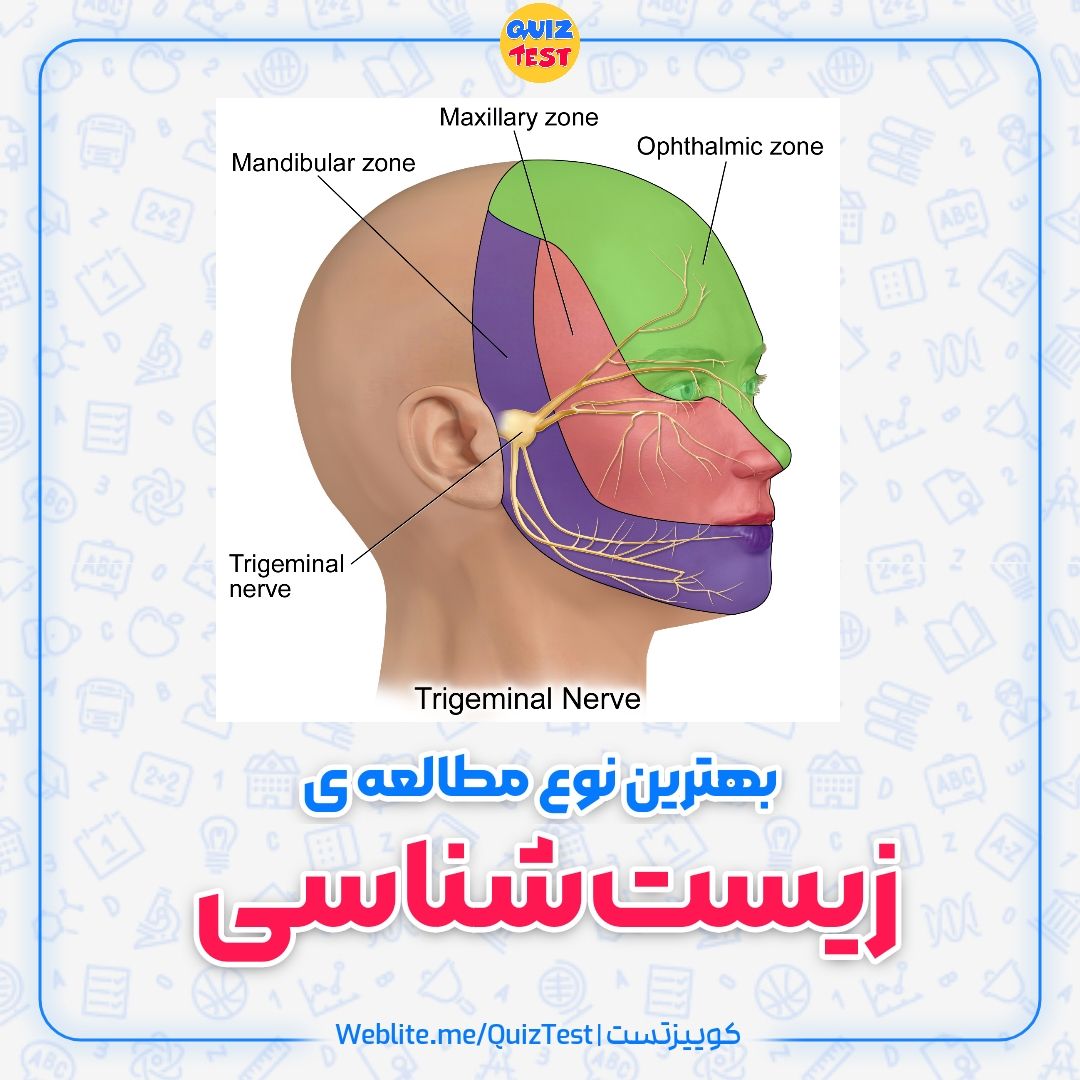 زیست شناسی کنکور | کوییزتست