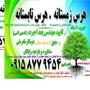 Hadi Shadi هرس درختان تضمین کتبی09158779454هادی علیپور