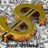 www.dolari.ir