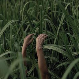 من و ماهو.  #نامه2